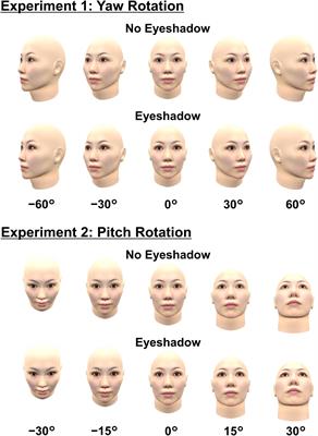 Viewpoint Invariance of Eye Size Illusion Caused by Eyeshadow